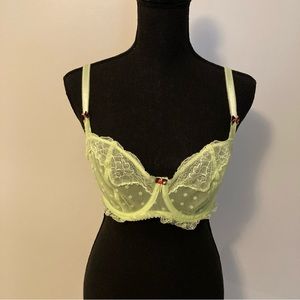 Tutti Rouge French Bliss Sheer Lace Underwire Bra Size 32E